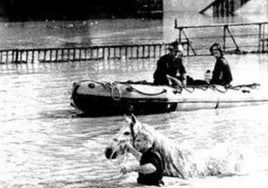 La historia casi se repite 30 años después: así fueron las inundaciones de 1996 en Sevilla