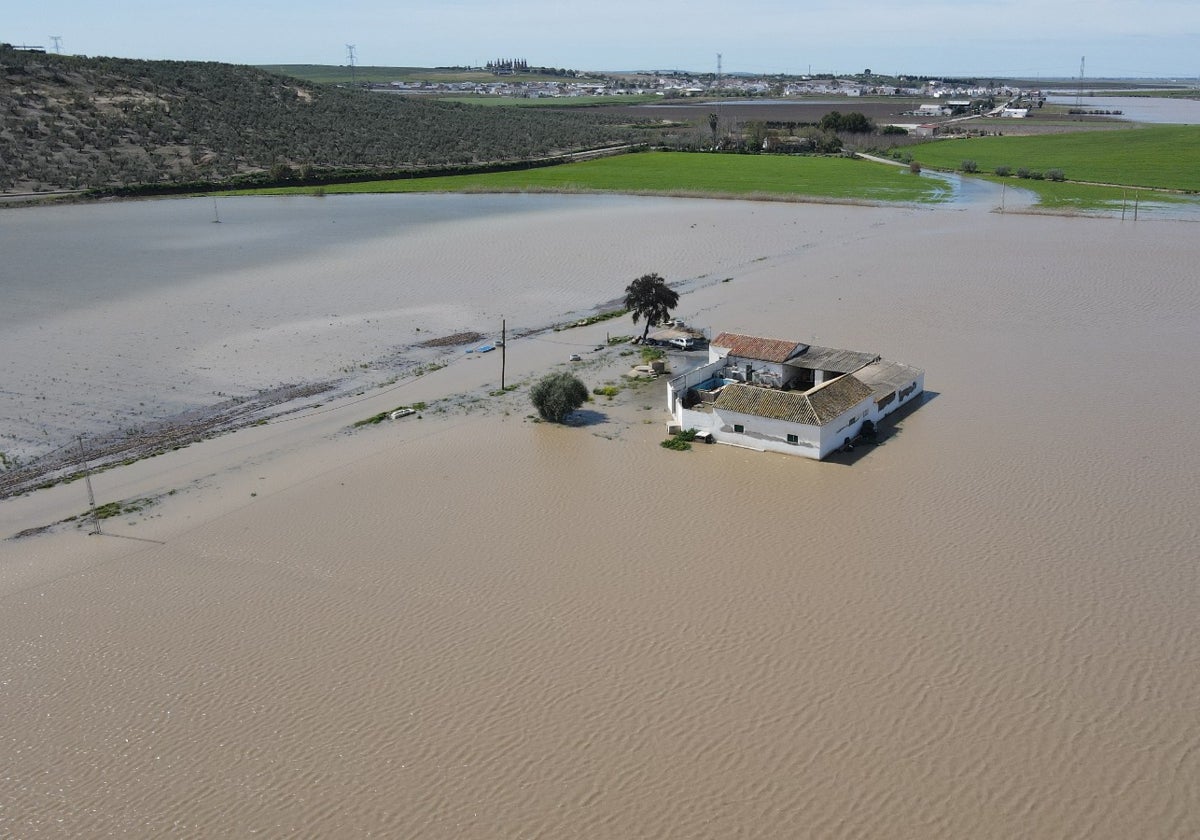 La zona conocida como las Parcelas de Troya ha sido la más afectada por la crecida del agua en El Palmar de Troya