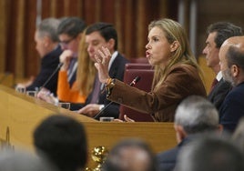 Vox confirma en el Pleno su cambio de estrategia y adopta el discurso de José Luis Sanz