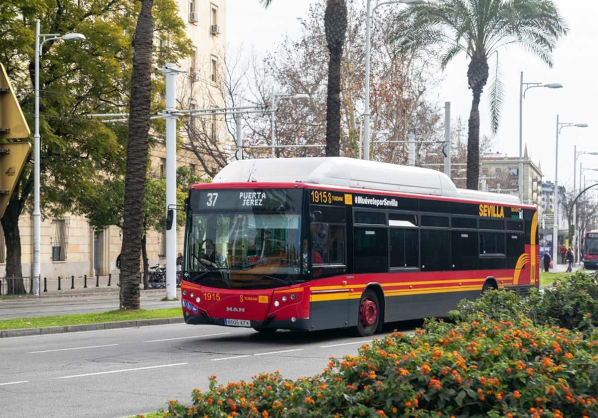 Imagen de archivo de un autobús de Tussam en Sevilla, por el Prado de San Sebastián