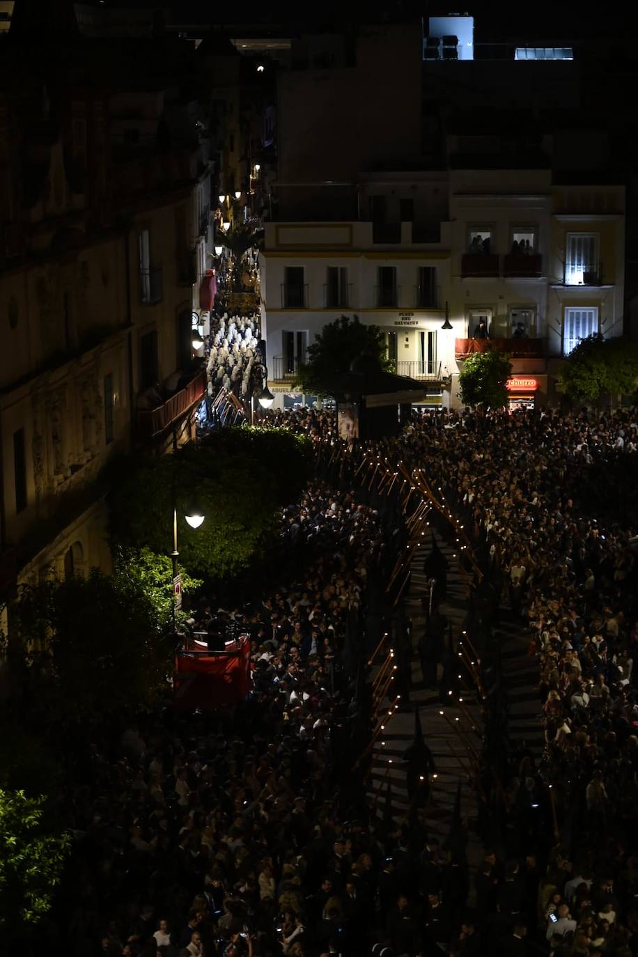 Hermandad del Amor este Domingo de Ramos
