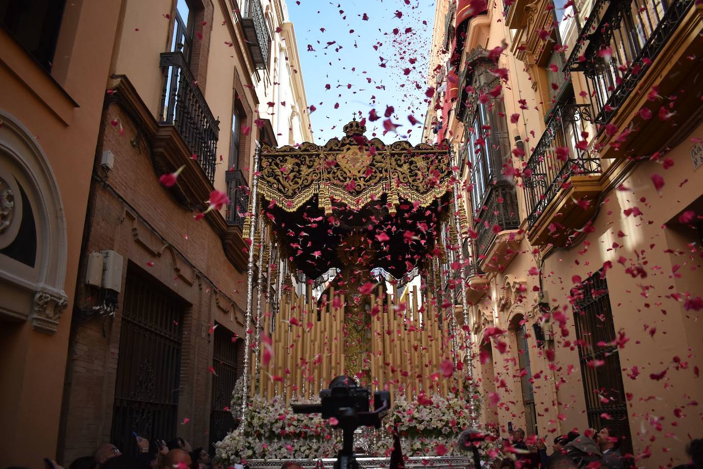 El Palio de la Virgen de los Dolores camino de la Catedral