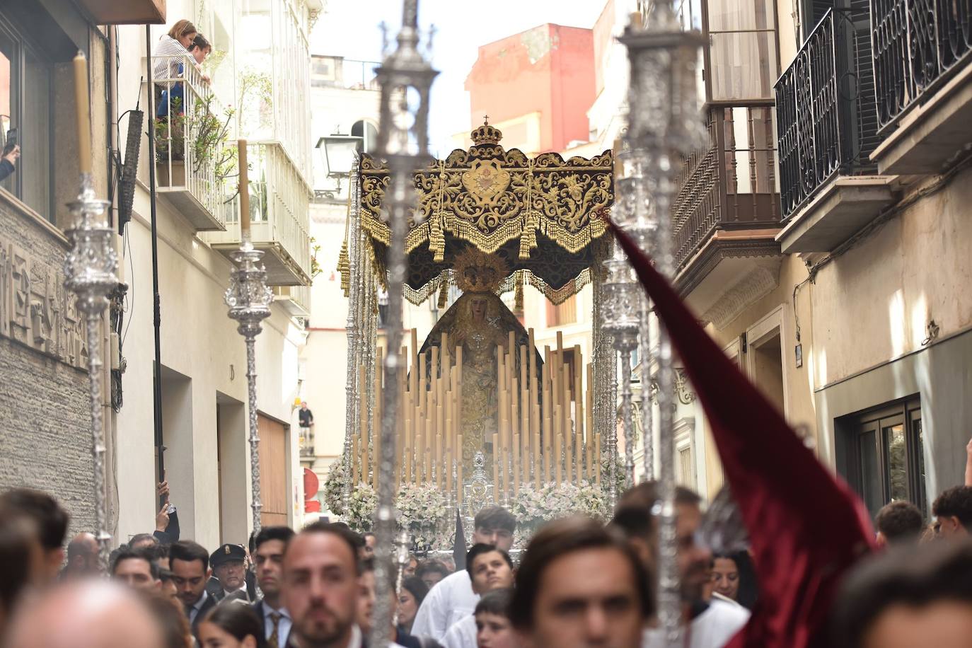 El Palio de la Virgen de los Dolores camino de la Catedral