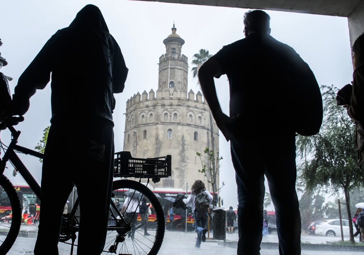 Imagen de varias personas resguardándose de la lluvia en Sevilla, frente a la Torre del Oro
