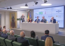 La Exhibición de Enganches de Sevilla contará con Carolina Marín como madrina