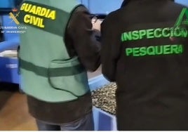 Incautan en Pilas 850 kilos de almejas japonesas sin papeles para la Feria de Sevilla