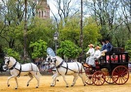 Aplazada por el mal tiempo la XXXIX Exhibición de Enganches de Sevilla