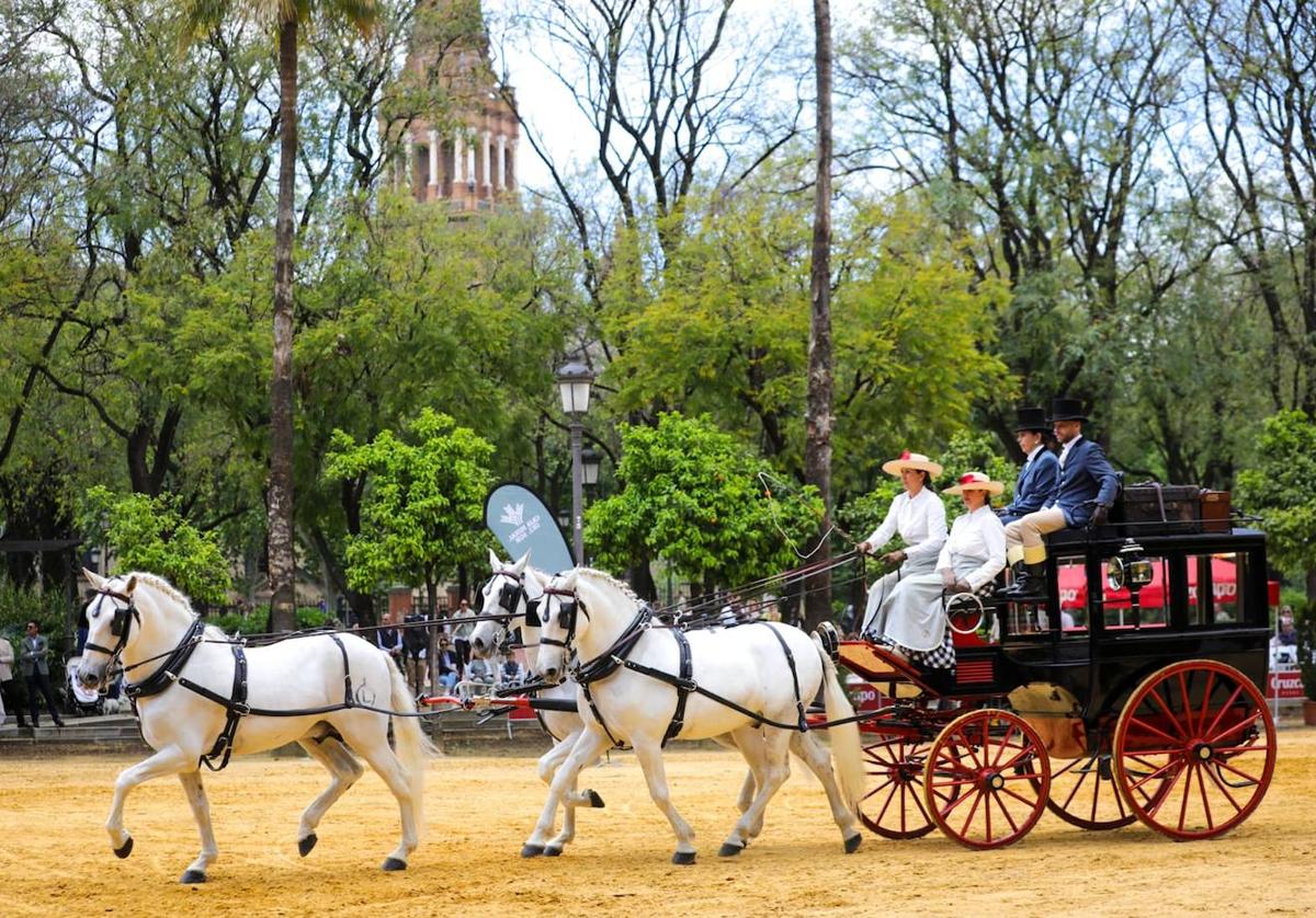 Desarrollo de una de las pruebas del Campeonato de España, este mismo sábado