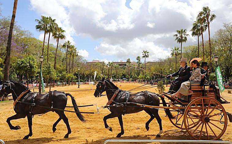 Imagen principal - Enganches por el Prado de San Sebastián 