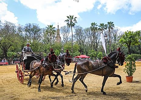 Imagen secundaria 1 - Enganches por el Prado de San Sebastián 