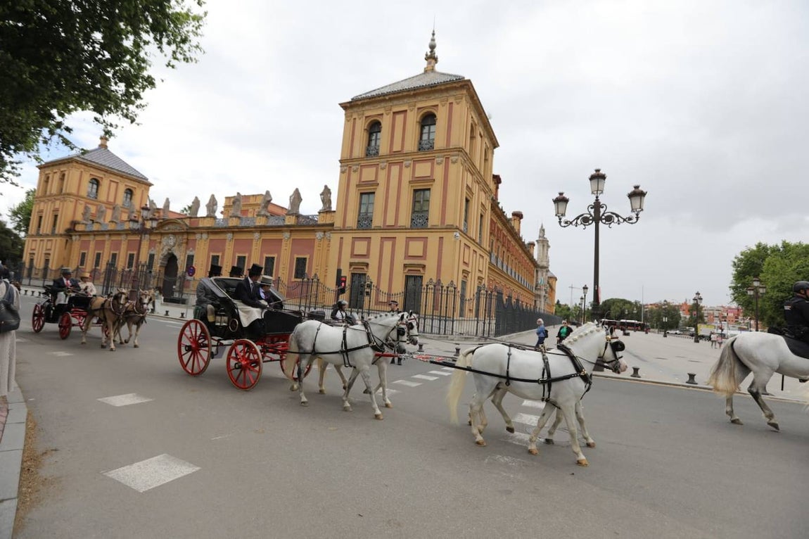Paseo de los enganches por El Prado, San Telmo y la Plaza de España