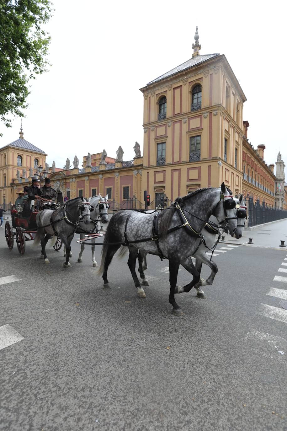 Paseo de los enganches por El Prado, San Telmo y la Plaza de España