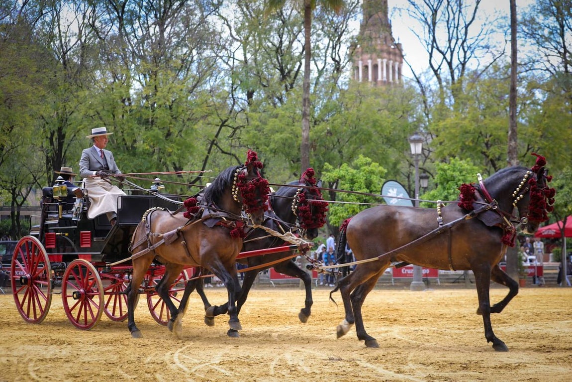 Paseo de los enganches por El Prado, San Telmo y la Plaza de España