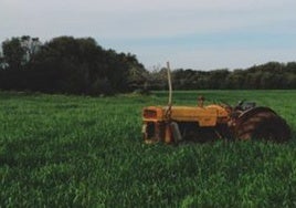 El Gobierno excluye a gran parte del campo andaluz en la rebaja fiscal agraria