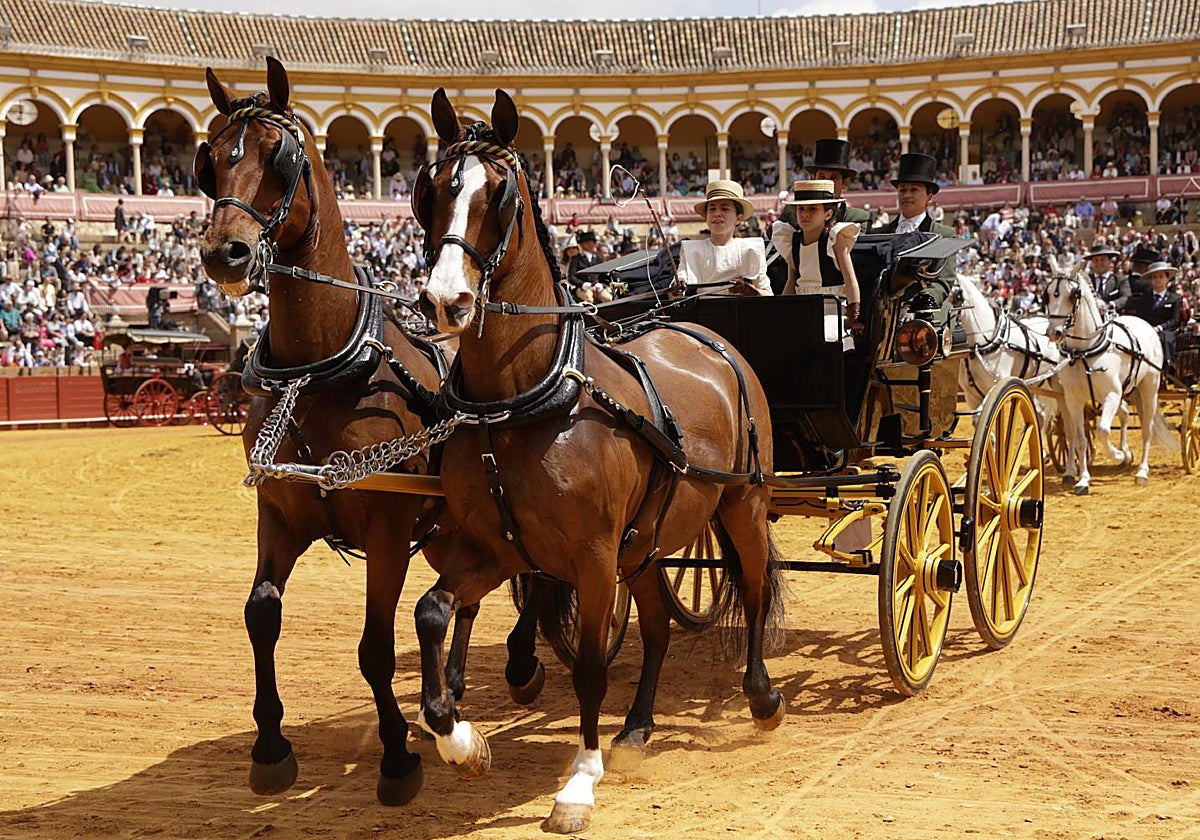 En imágenes, la Exhibición de Enganches en la Maestranza, un museo al aire libre