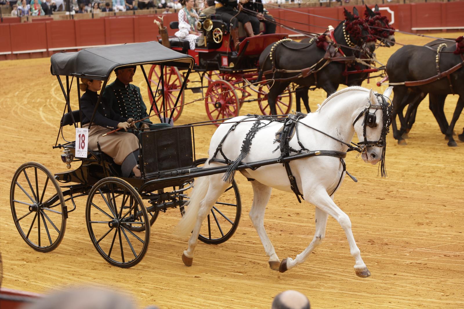 En imágenes, la Exhibición de Enganches en la Maestranza, un museo al aire libre
