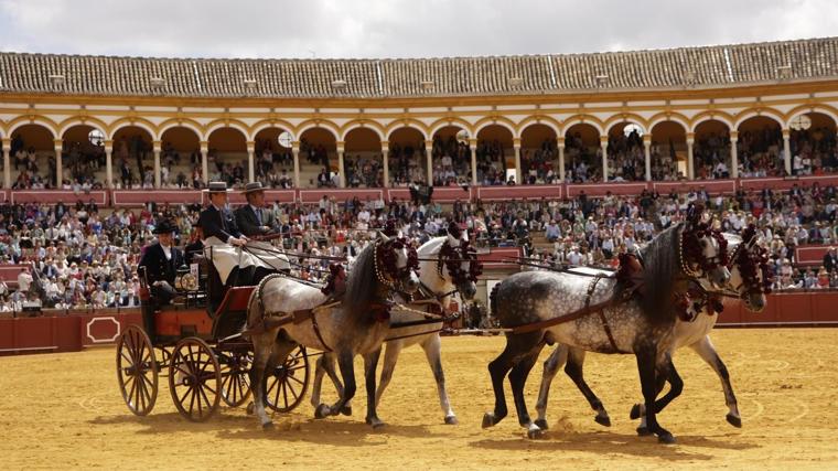 Una pasarela del color y la elegancia sobre el albero de la Maestranza