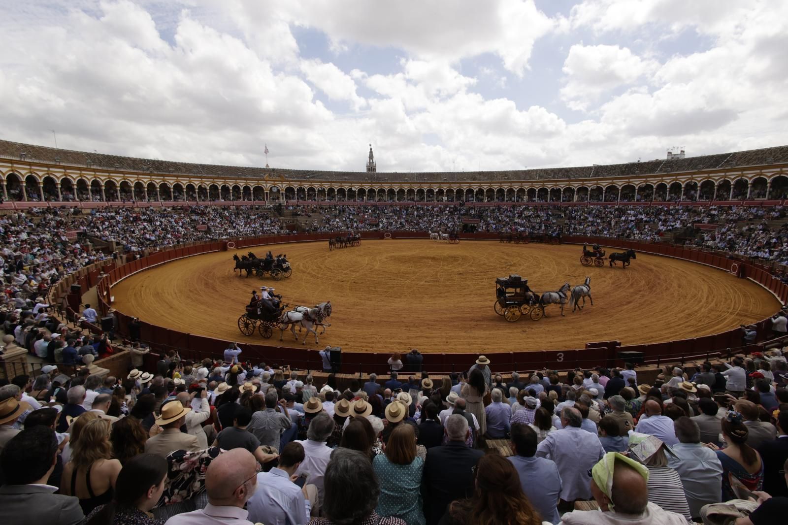 En imágenes, la Exhibición de Enganches en la Maestranza, un museo al aire libre