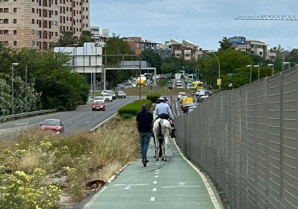Un caballo en el carril bici de la zona de los Bermejales