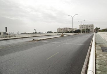 La Policía Local detiene en el Puente de las Delicias de Sevilla a una persona por intento de homicidio