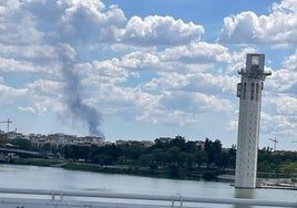 Un incendio en un desguace de Coria del Río calcina al menos media docena de vehículos
