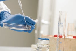 Sevilla acogerá en mayo de 2026 el 35 Congreso de la Sociedad Española de Fertilidad