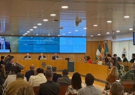 La Diputación aprueba una modificación presupuestaria de 140 millones para el plan Sevilla 2030