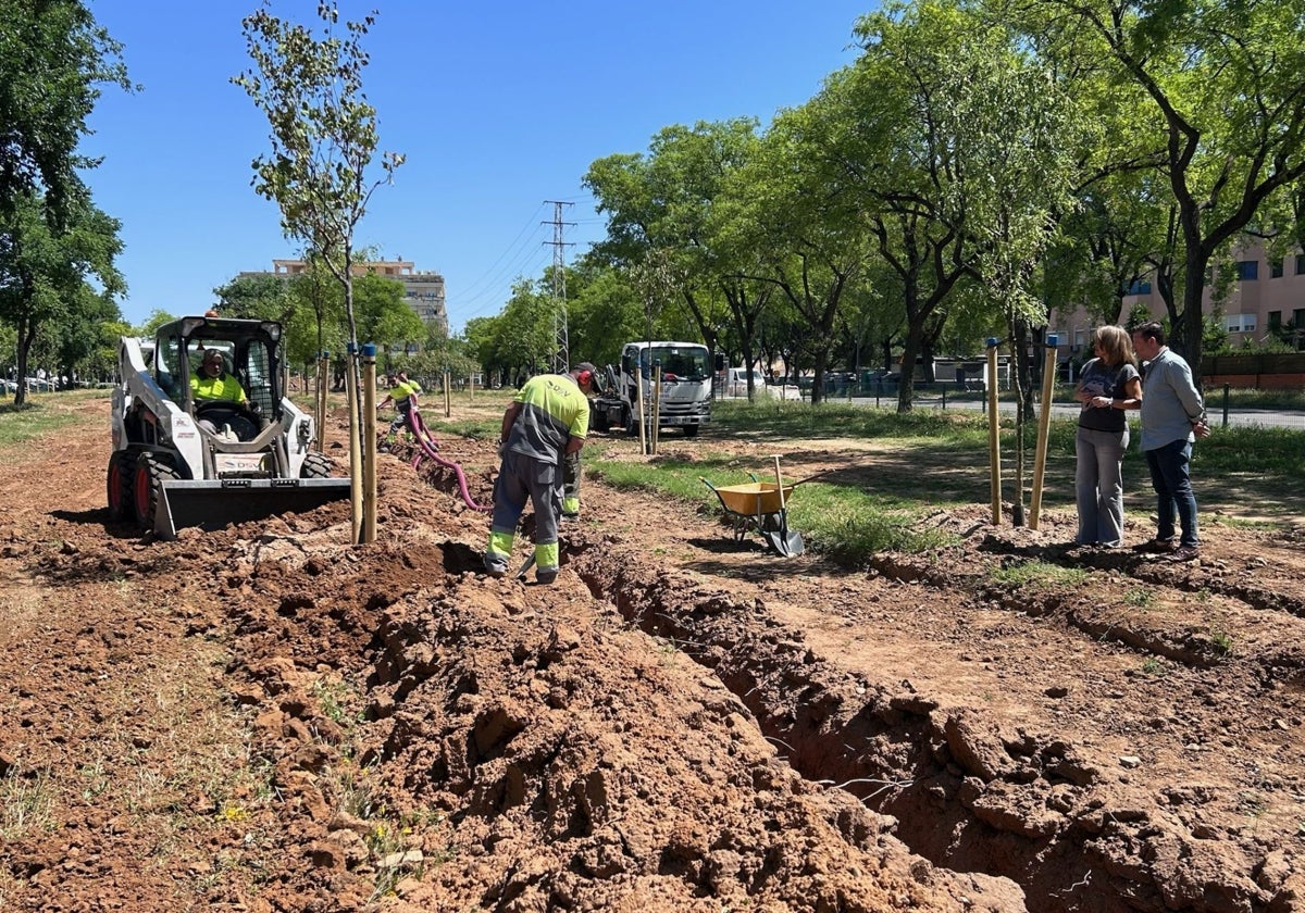 La delegada de Parques y Jardines, Evelia Rincón, supervisa el avance de los trabajos en Sevilla Este