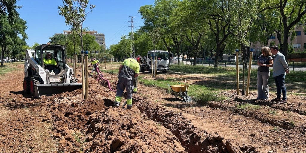 El Ayuntamiento transforma una parcela abandonada de Sevilla Este en una zona verde con más de 70 árboles