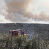 Columna de humo provocada por el incendio de restos de poda