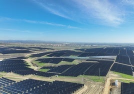 TotalEnergies activa en Guillena el mayor parque solar de Europa que ocupa 400 hectáreas