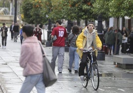 José Luis Sanz quiere eliminar el carril bici de la Avenida de la Constitución de Sevilla