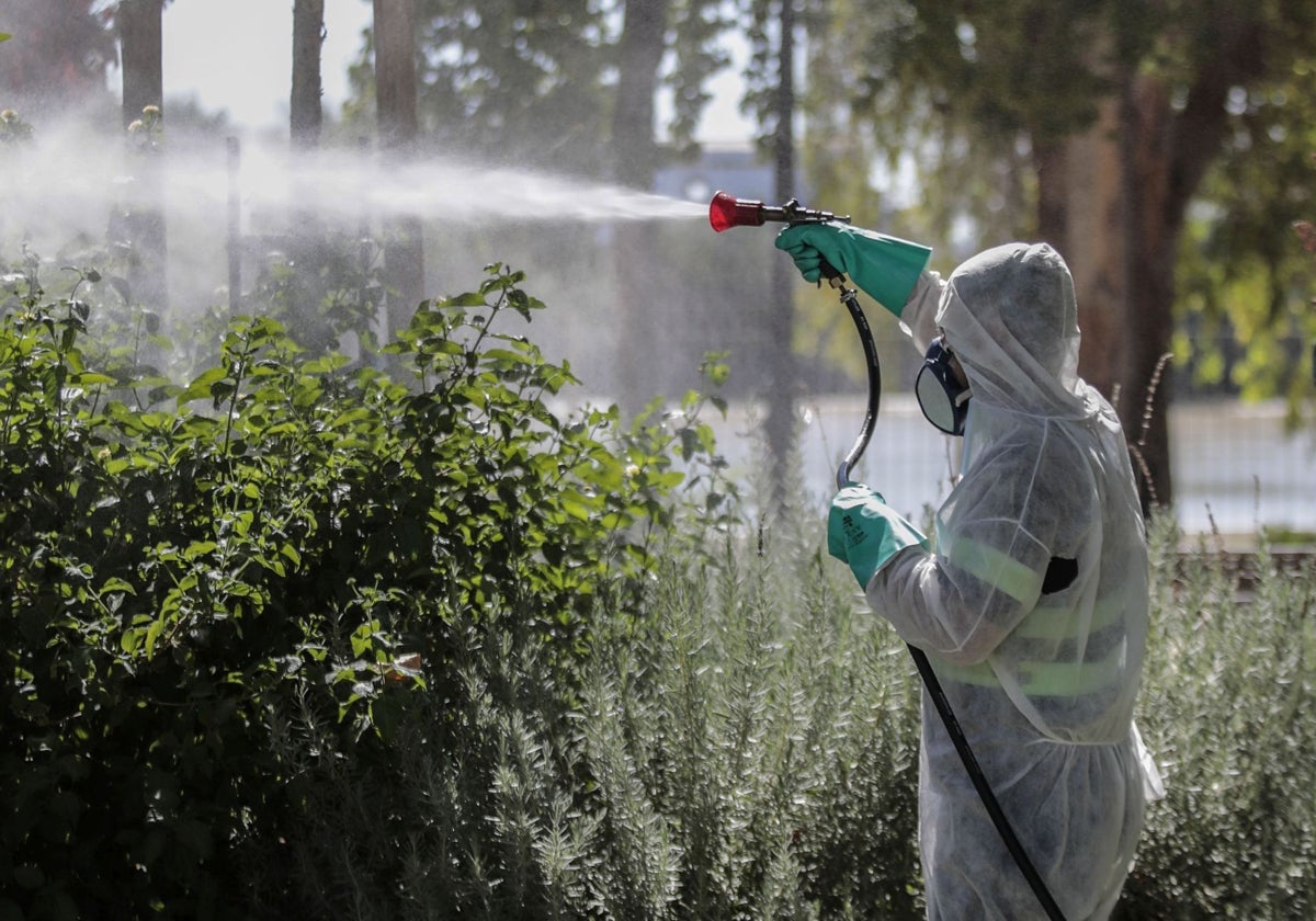 Un operario fumiga en una de las zonas del Bajo Guadalquivir de mayor riesgo de transmisión del VNO