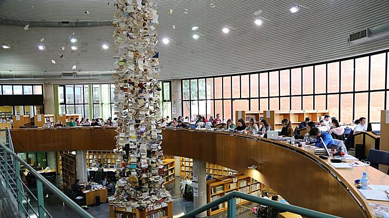 Universidad de Málaga: formación para el éxito profesional