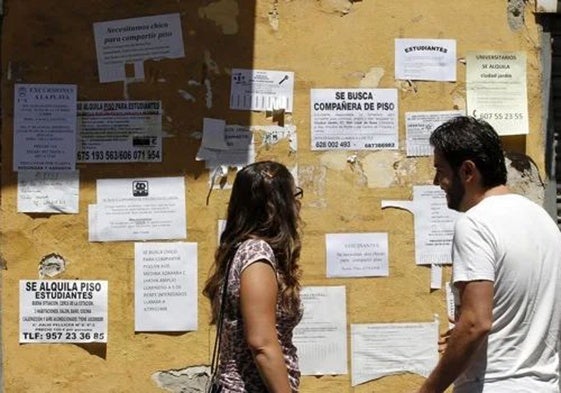 Dos estudiantes revisando los carteles de pisos en alquiler