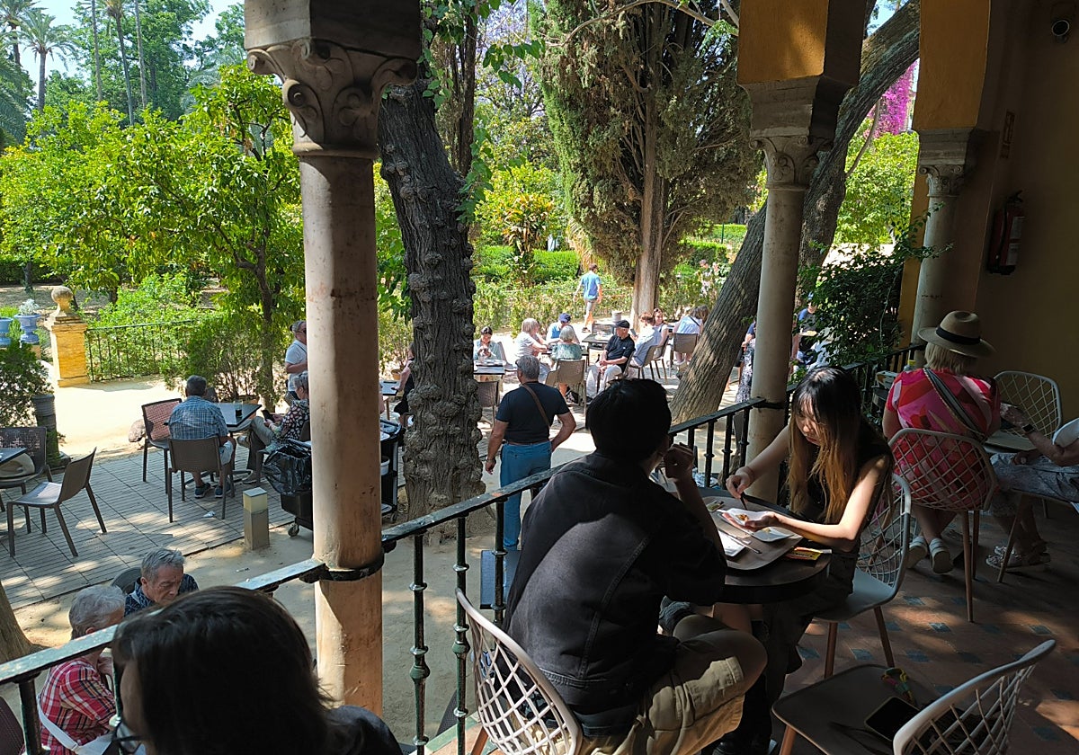 La actual cafetería del Alcázar se ha quedado pequeña