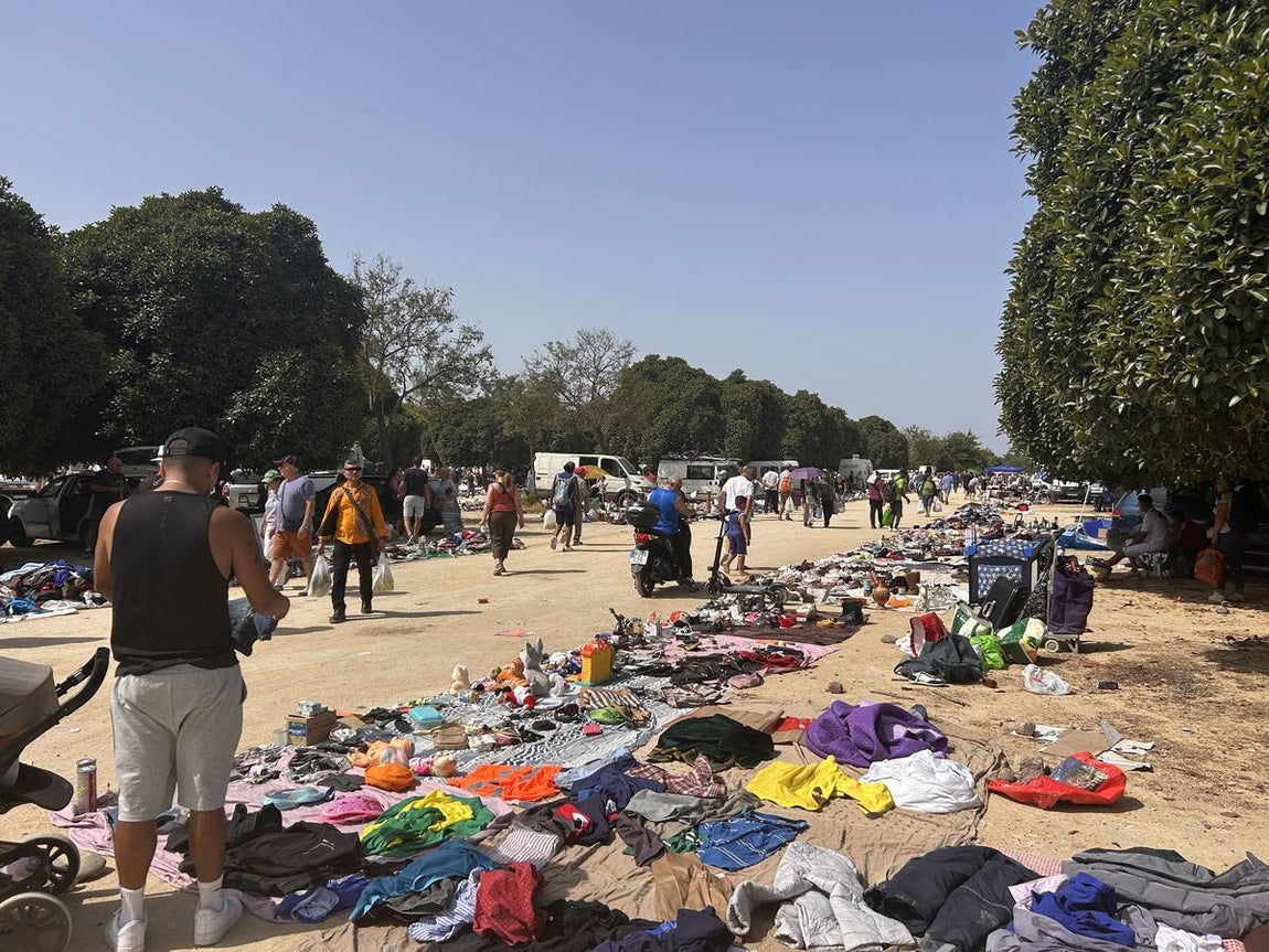 El mercadillo de los domingos en Su Eminencia es un ejemplo de venta ilegal y sin control en la zona