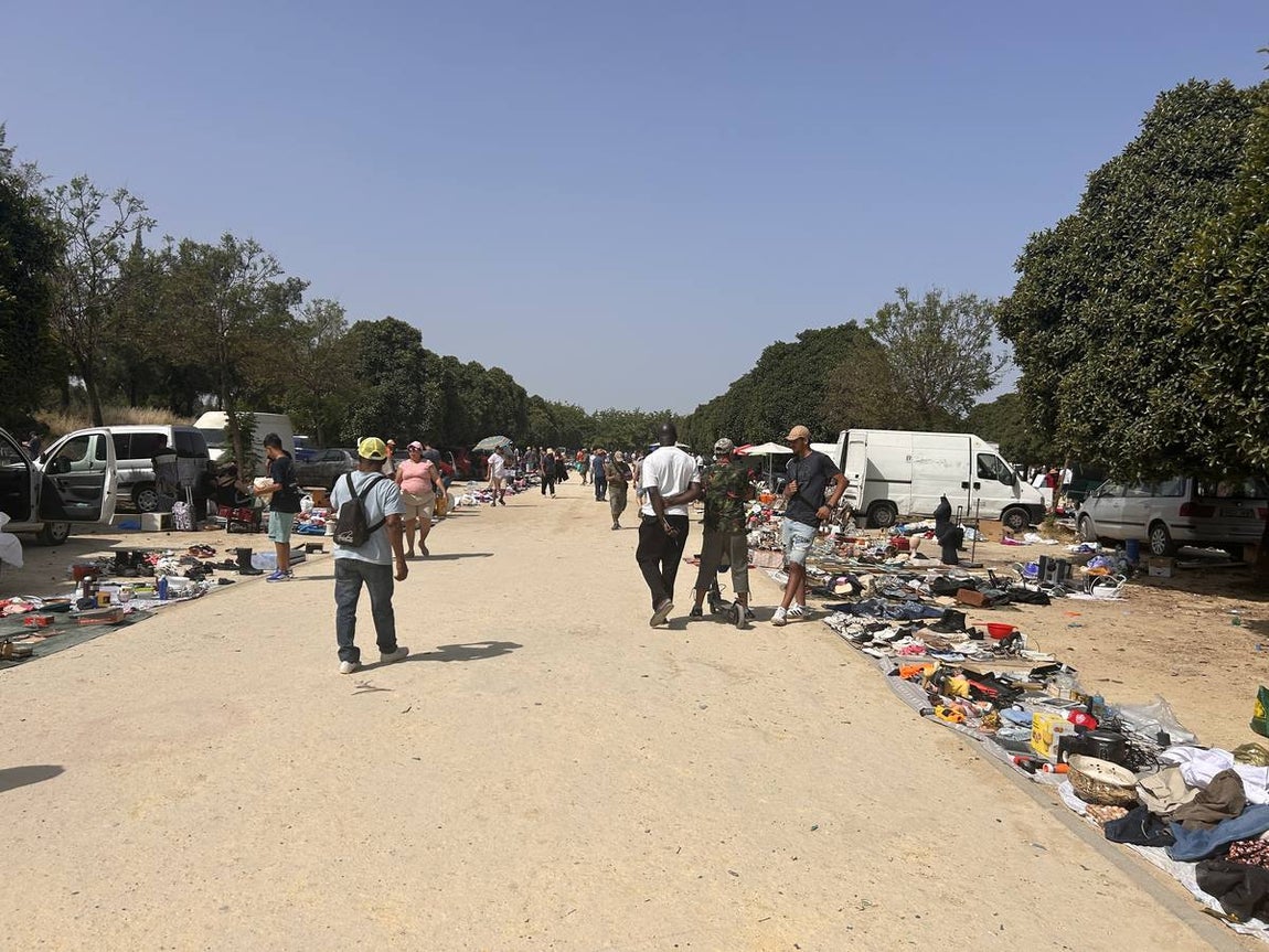 El mercadillo de los domingos en Su Eminencia es un ejemplo de venta ilegal y sin control en la zona