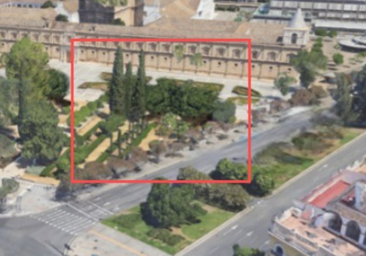 La Junta proyecta trasladar los cinco ombúes que se hallan en la mediana junto al Parlamento a la zona de los jardines situados frente al Hospital de la Cinco Llagas