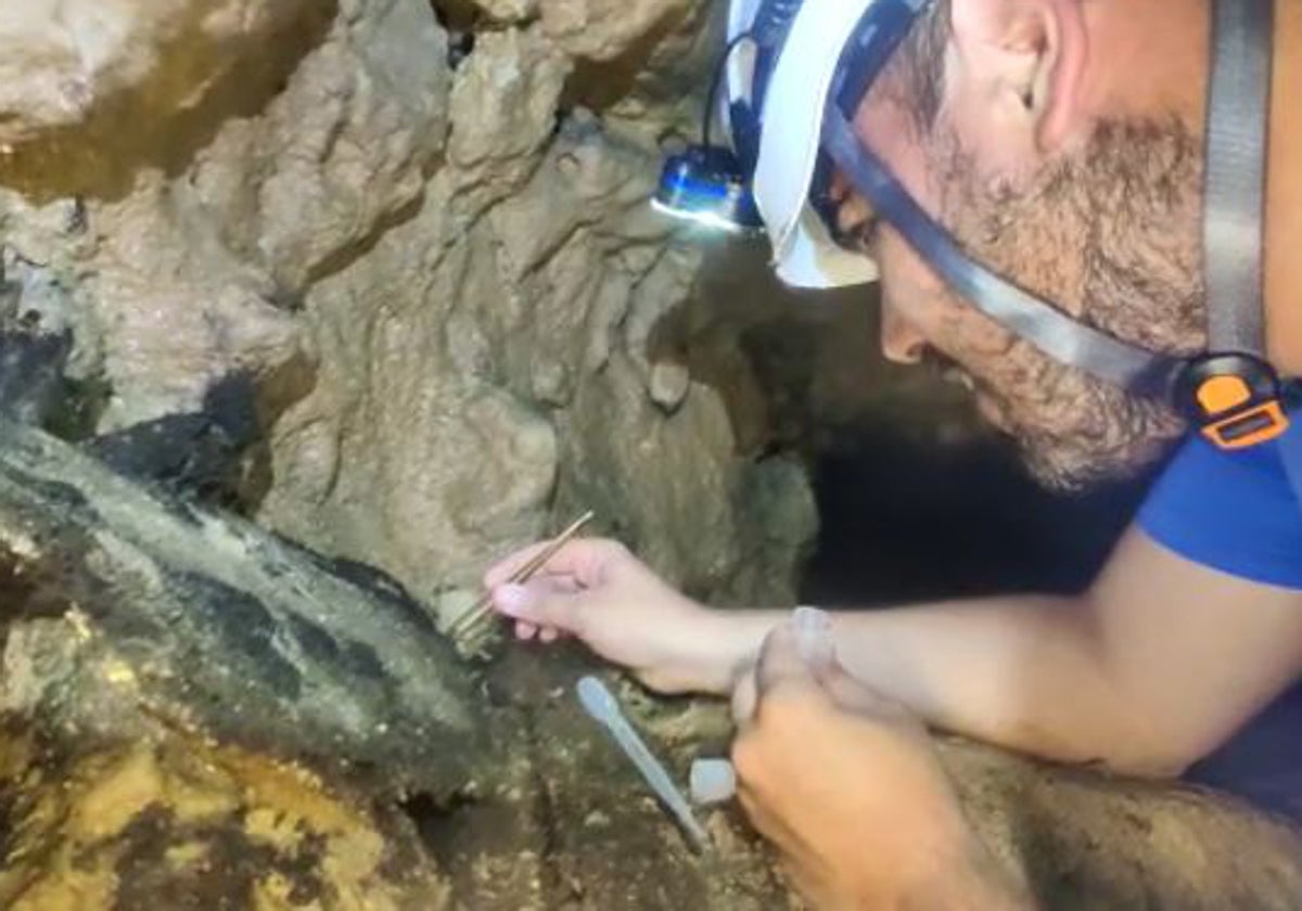 Álvaro Luna ha descubierto la nueva especie