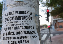 Estos son los barrios de Sevilla más baratos (y más caros) para alquilar un piso como estudiante