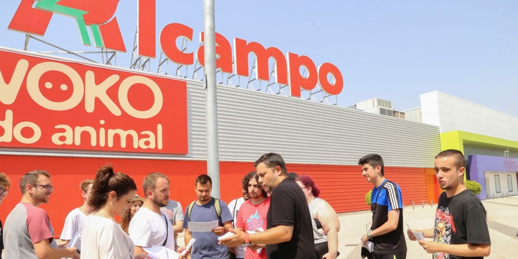 El ERE de Alcampo salva del cierre los hipermercados de Andalucía pero habrá despidos
