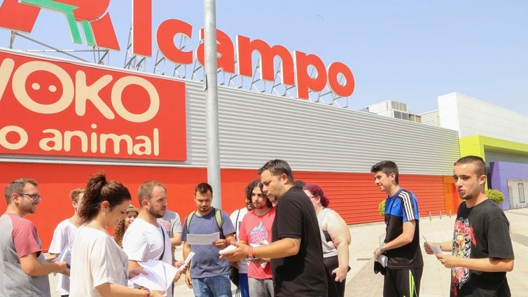 El ERE de Alcampo salva del cierre los hipermercados de Andalucía pero habrá despidos