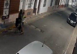 Detenido un hombre en Brenes por robar de forma violenta en plena calle a una mujer