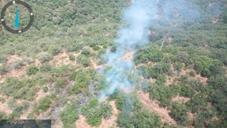 Los bomberos trabajan para extinguir un incendio forestal en Lora del Río