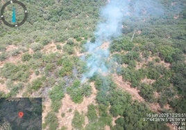Los bomberos trabajan para extinguir un incendio forestal en Lora del Río