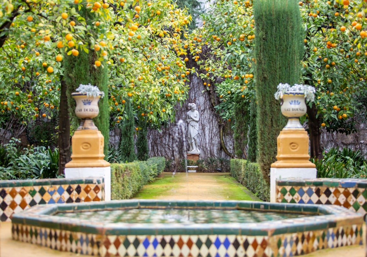 Uno de los jardines del Palacio de las Dueñas de Sevilla