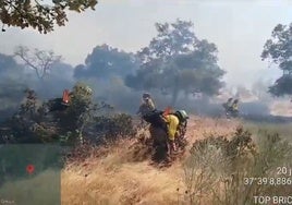 Controlado el incendio de Castilblanco de los Arroyos
