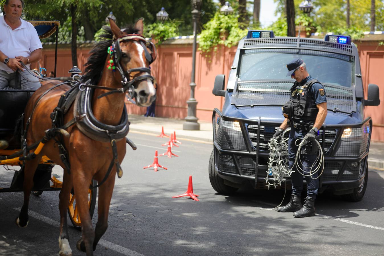 Miembros de la Policía Local y Nacional así como equipos de la Guardia Civil han tomado Sevilla para la Cumbre de la ONU