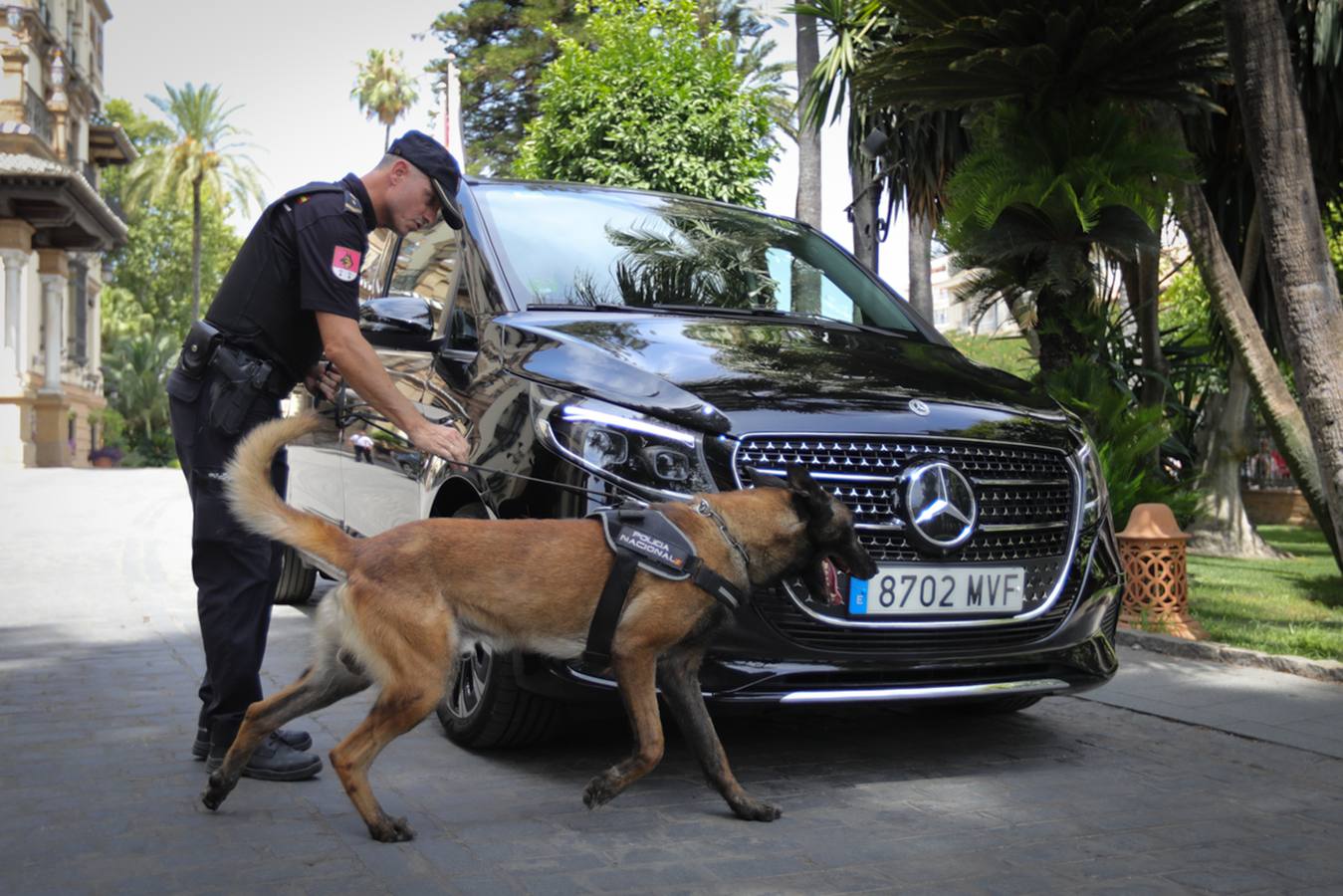 Miembros de la Policía Local y Nacional así como equipos de la Guardia Civil han tomado Sevilla para la Cumbre de la ONU